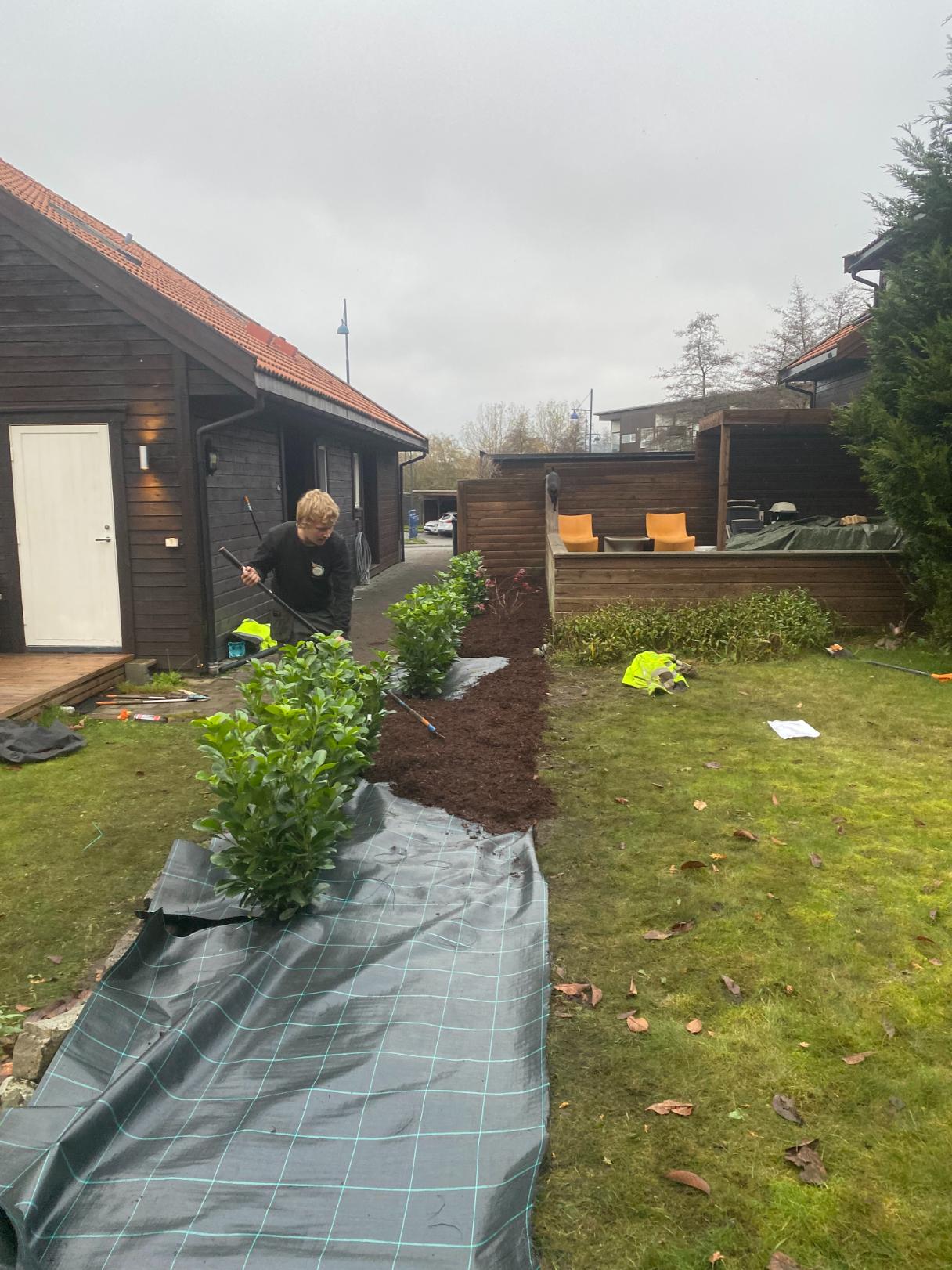 Ikon for Beplantning